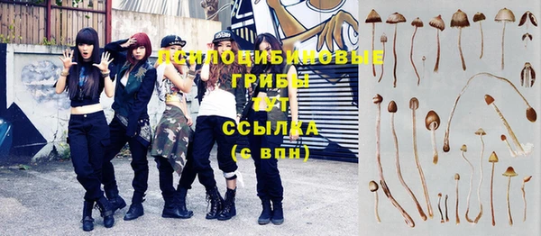 соль ск Липки