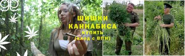 соль ск Липки